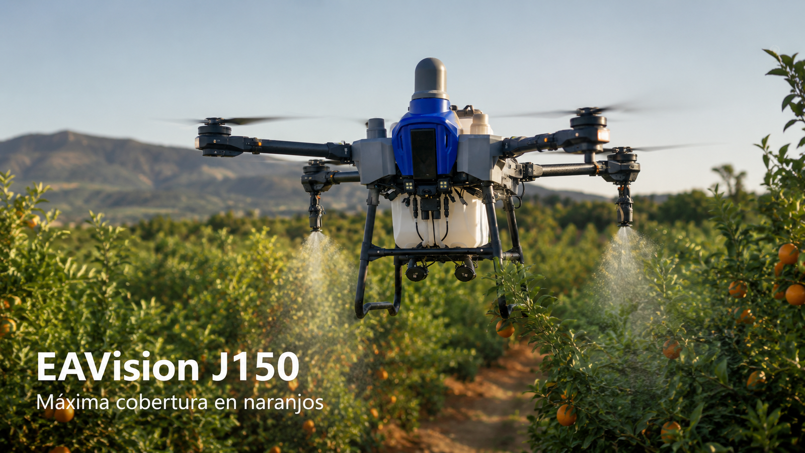 Campo de cítricos — aplicación con dron agrícola
